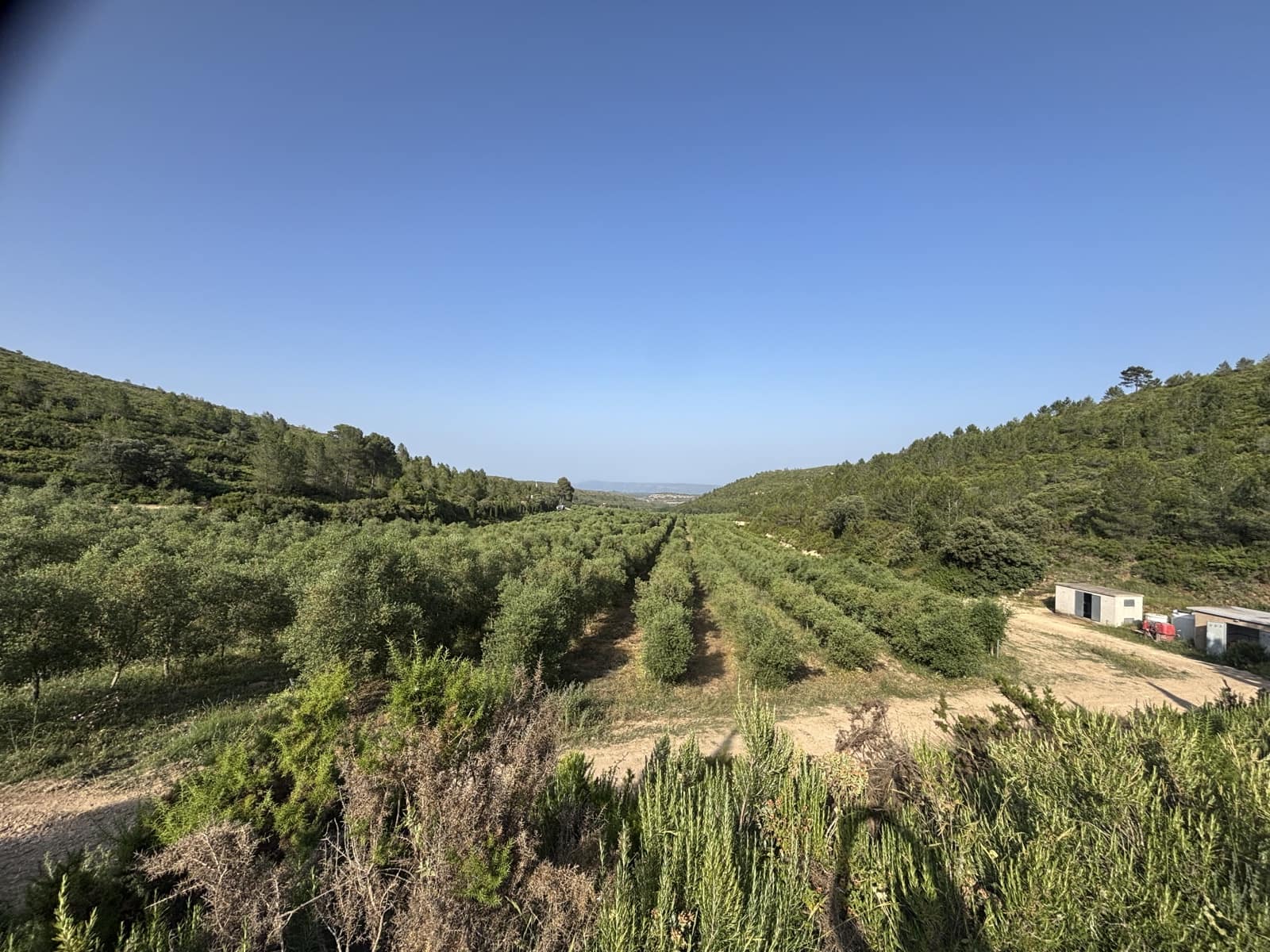 6 soveværelse Finca/Landehus til salg i Enguera - € 1.100.000 (Ref: 9074390)