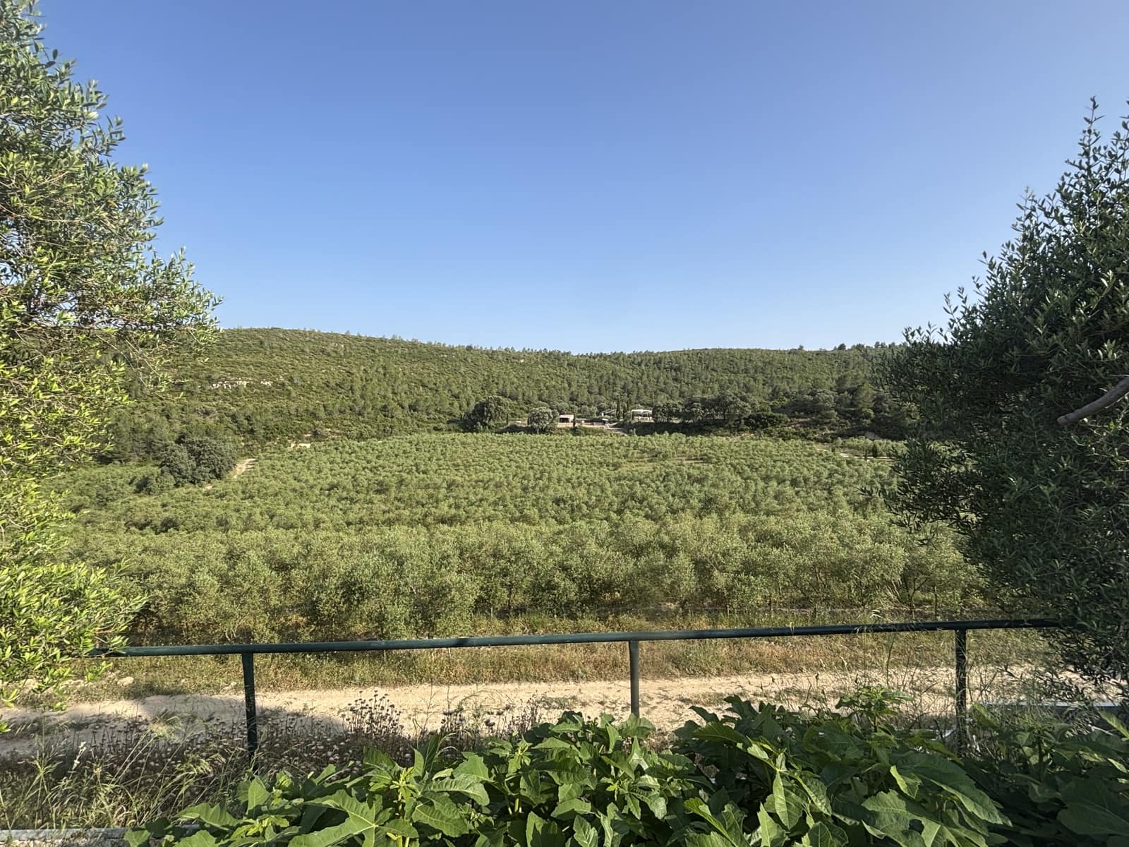 6 soveværelse Finca/Landehus til salg i Enguera - € 1.100.000 (Ref: 9074390)