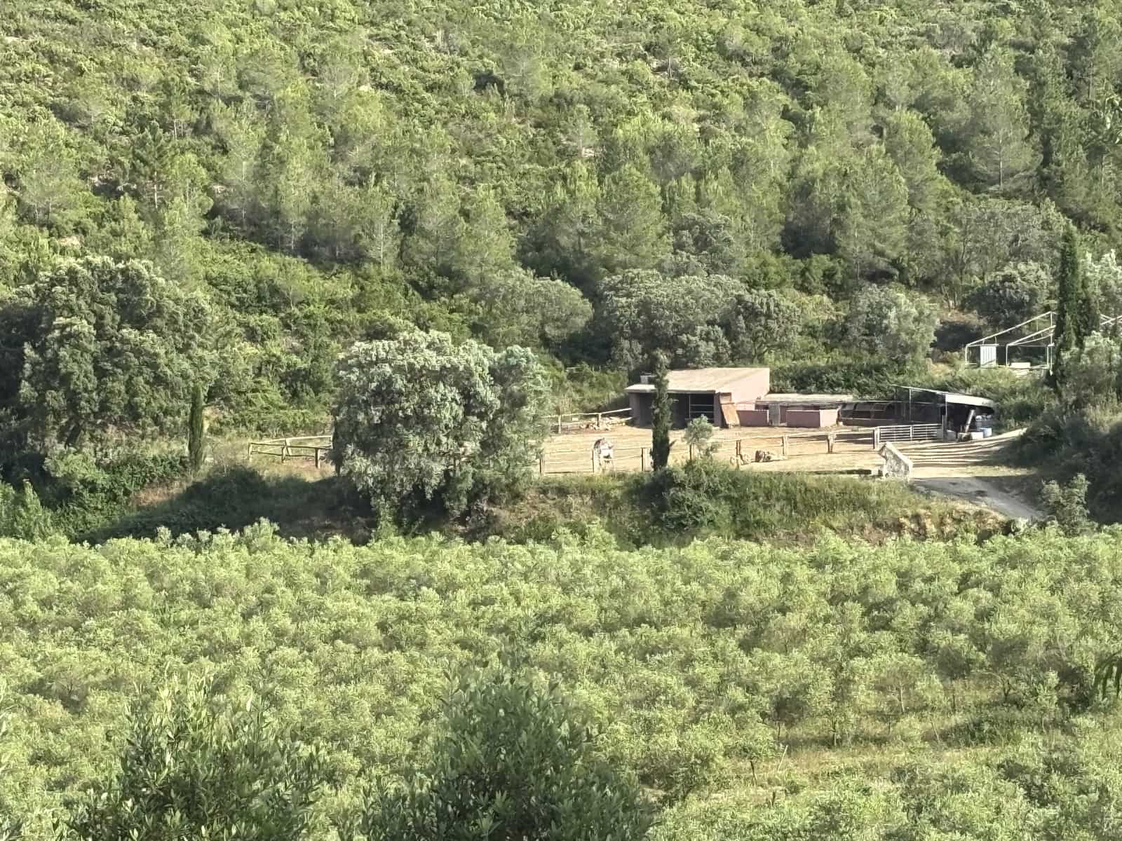 6 soveværelse Finca/Landehus til salg i Enguera - € 1.100.000 (Ref: 9074390)