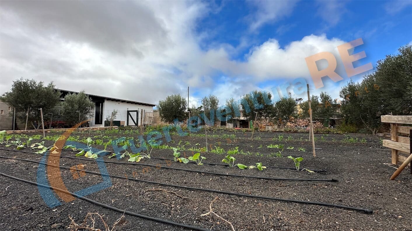 3 soveværelse Villa til salg i Llanos de la Concepcion med garage - € 650.000 (Ref: 7971138)