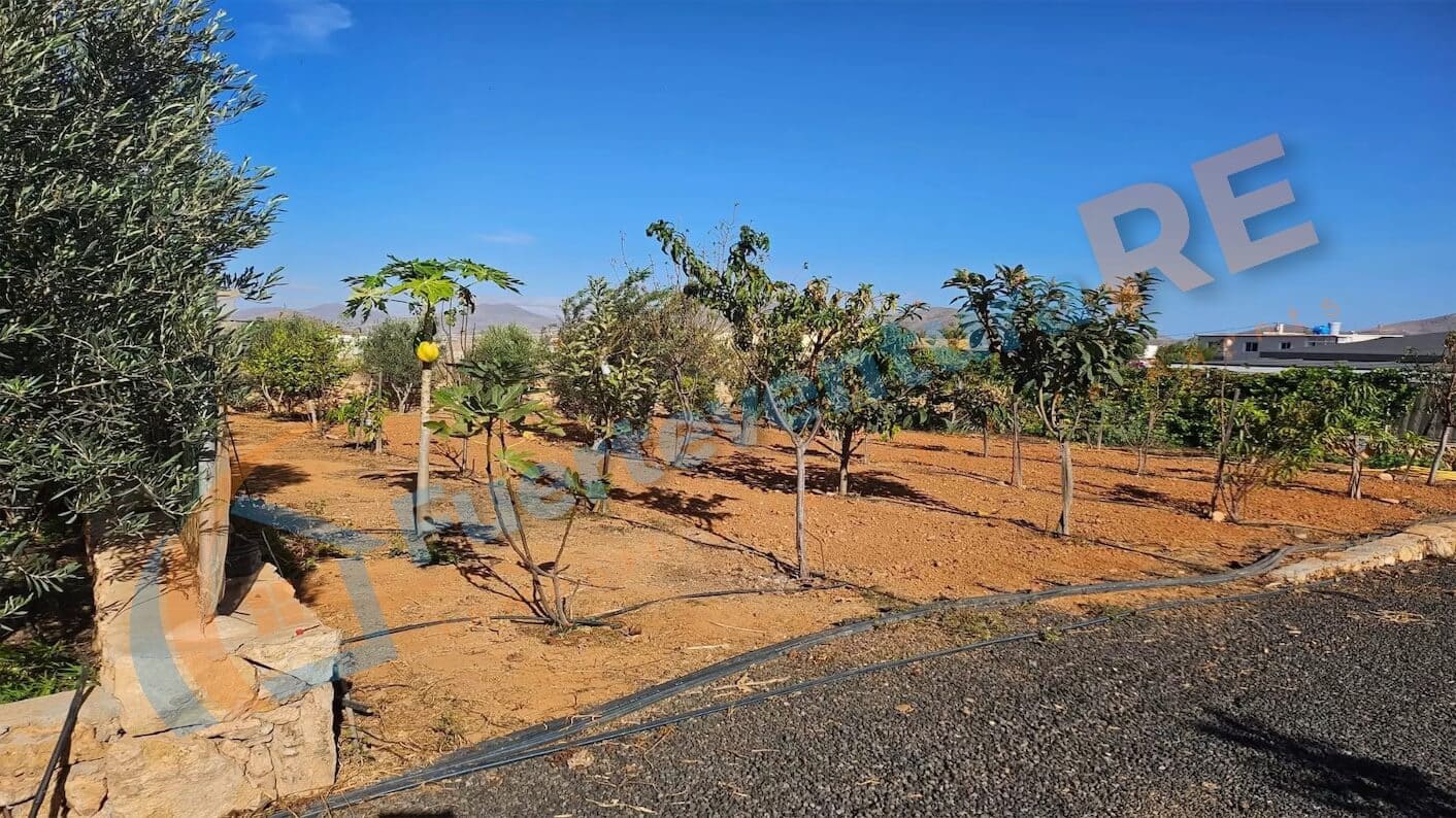 3 soveværelse Villa til salg i Llanos de la Concepcion med garage - € 650.000 (Ref: 7971138)