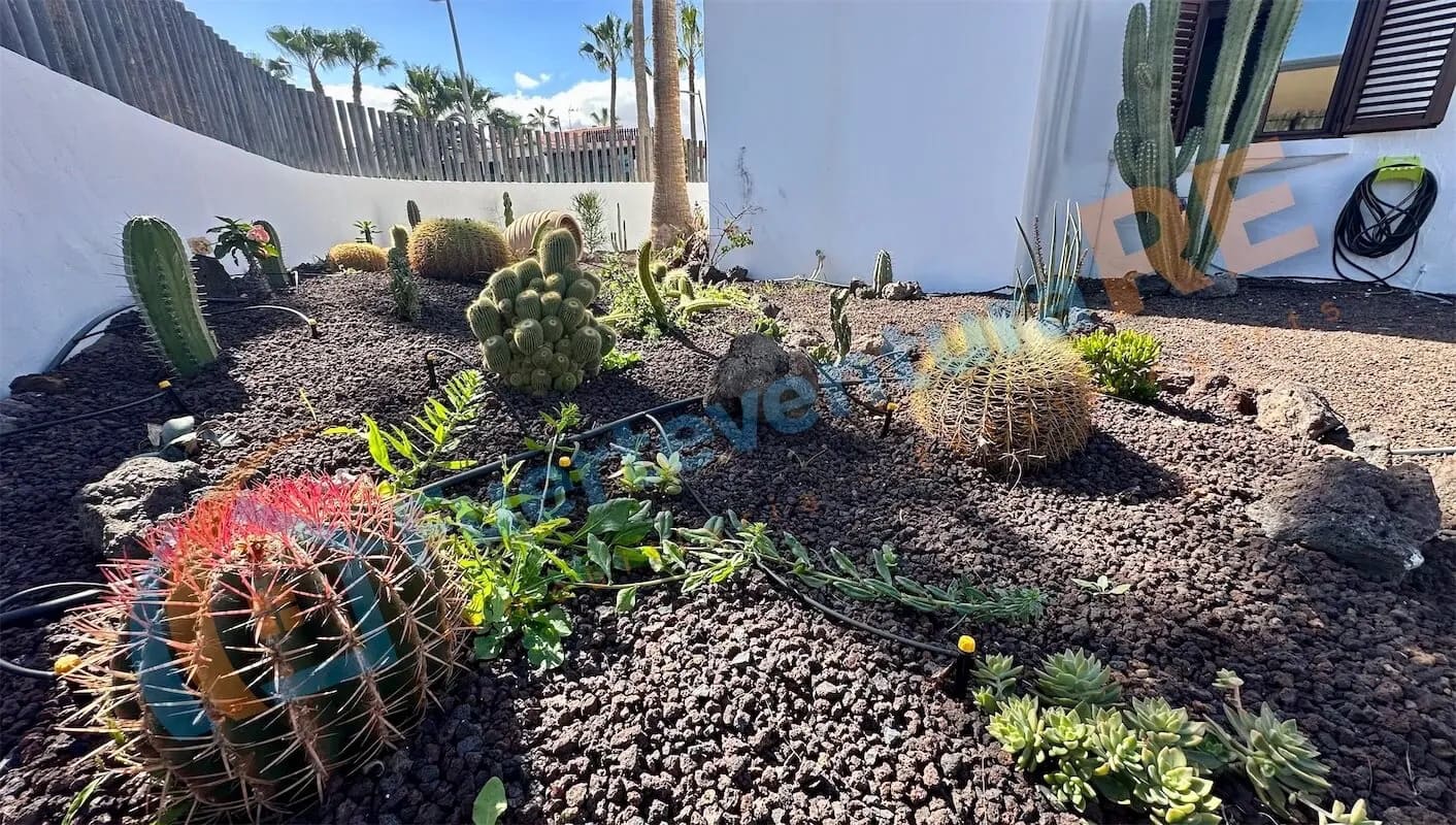 4 soveværelse Villa til salg i Caleta de Fuste med swimmingpool - € 650.000 (Ref: 8844887)