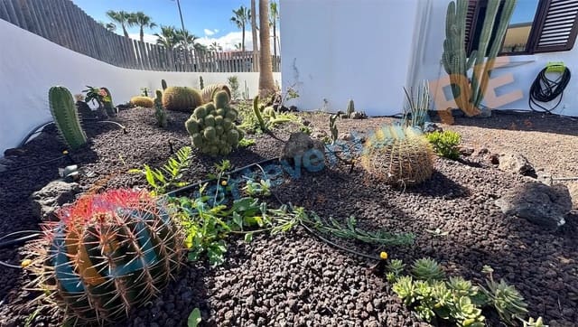 4 quarto Moradia para venda em Caleta de Fuste, Antigua com piscina - 650 000 € (Ref: 8844887)