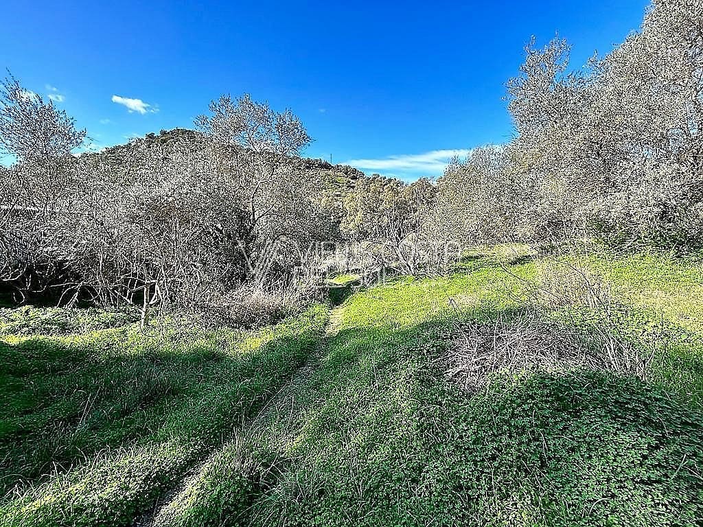 5 soveværelse Villa til salg i Comares - € 134.900 (Ref: 7357338)