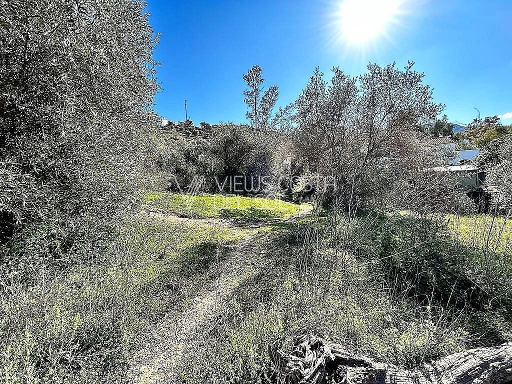 5 soveværelse Villa til salg i Comares - € 134.900 (Ref: 7357338)