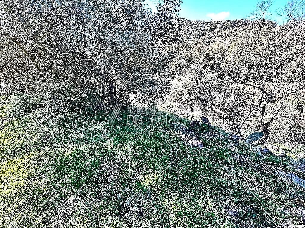 5 soveværelse Villa til salg i Comares - € 134.900 (Ref: 7357338)