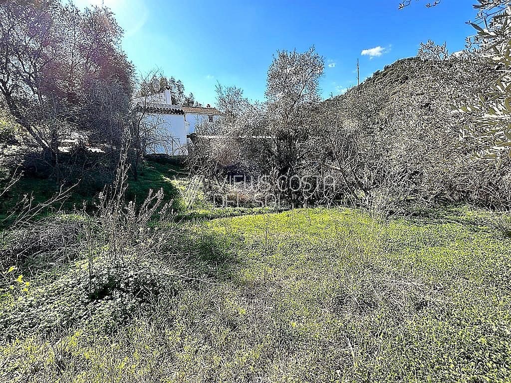5 soveværelse Villa til salg i Comares - € 134.900 (Ref: 7357338)