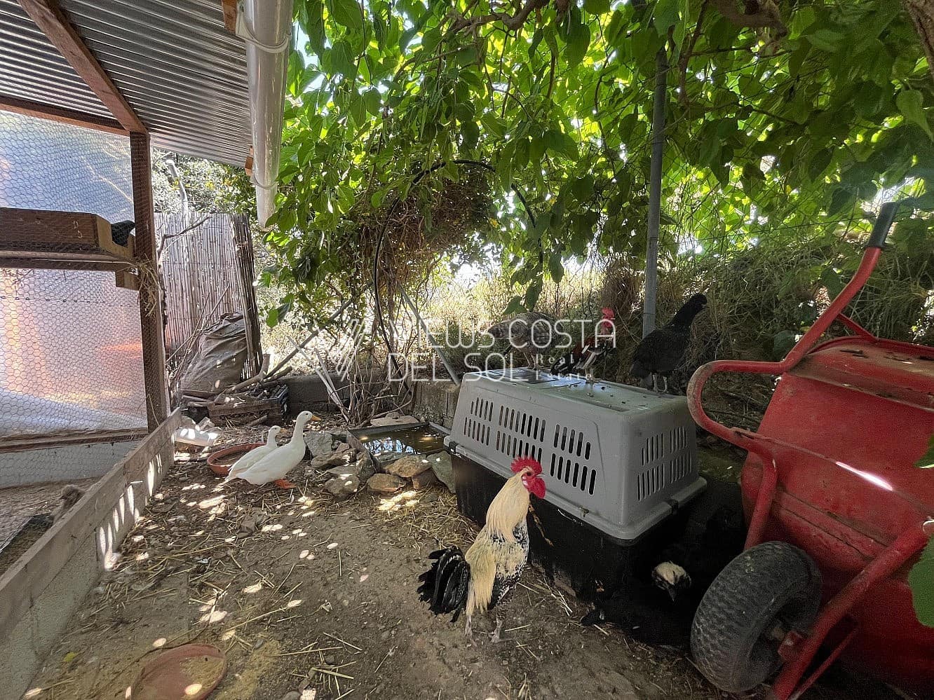 3 bedroom Villa for sale in Riogordo with pool - € 359,900 (Ref: 9022524)