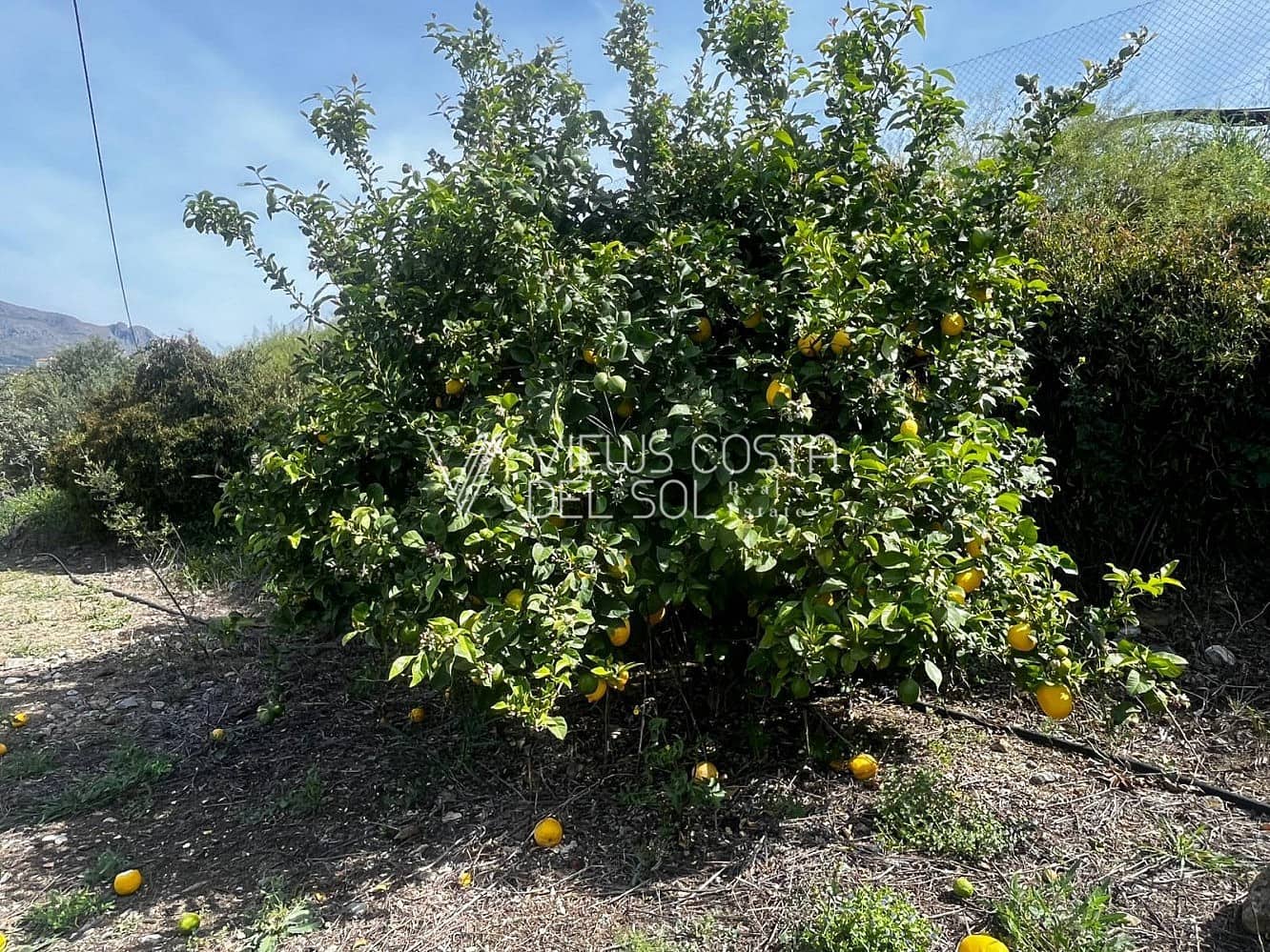 3 soverom Villa til salgs i Alcaucin - € 375 000 (Ref: 9784893)