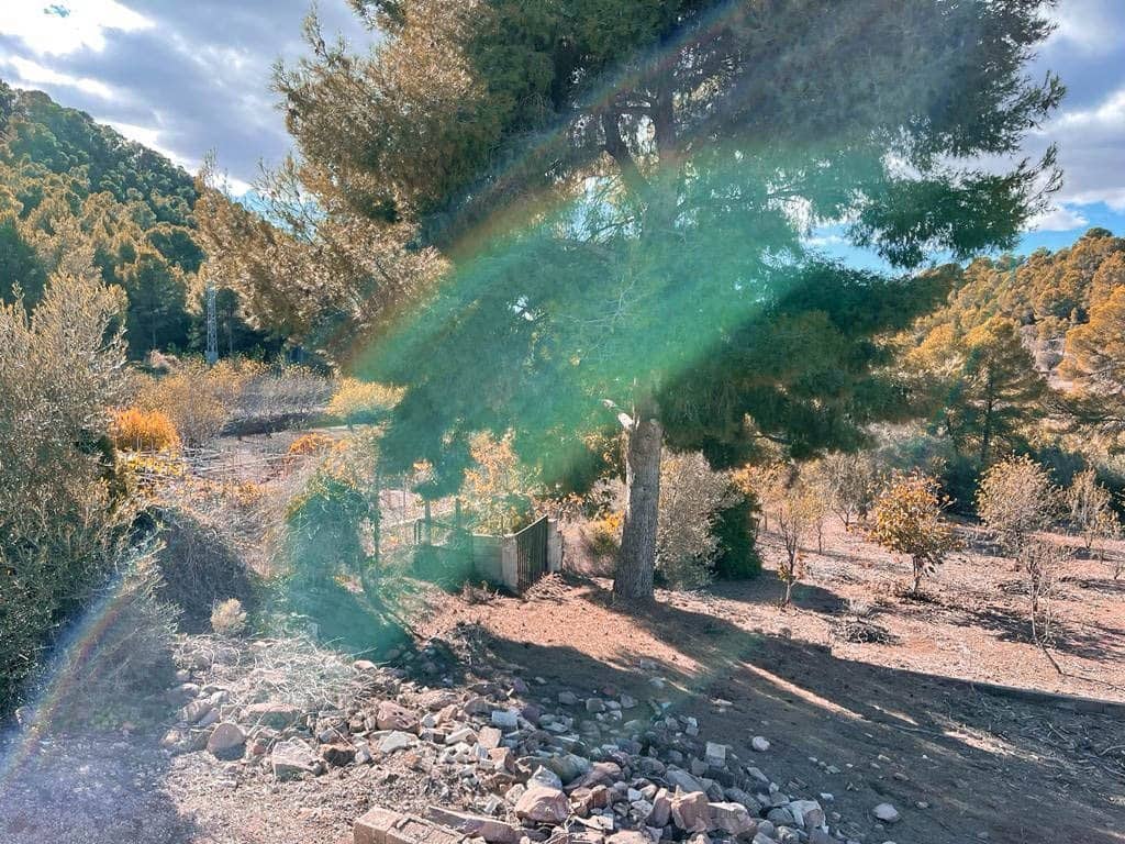 Building Plot for sale in Naquera - € 425,000 (Ref: 9867333)