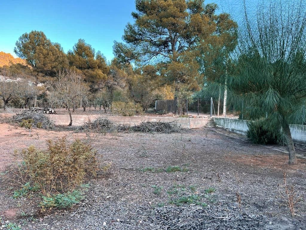 Building Plot for sale in Naquera - € 425,000 (Ref: 9867333)
