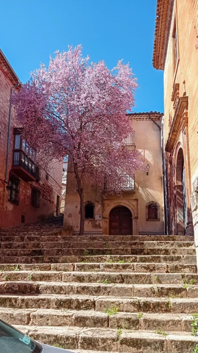 5 bedroom Townhouse for sale in Alcaraz - € 21,000 (Ref: 9867336)