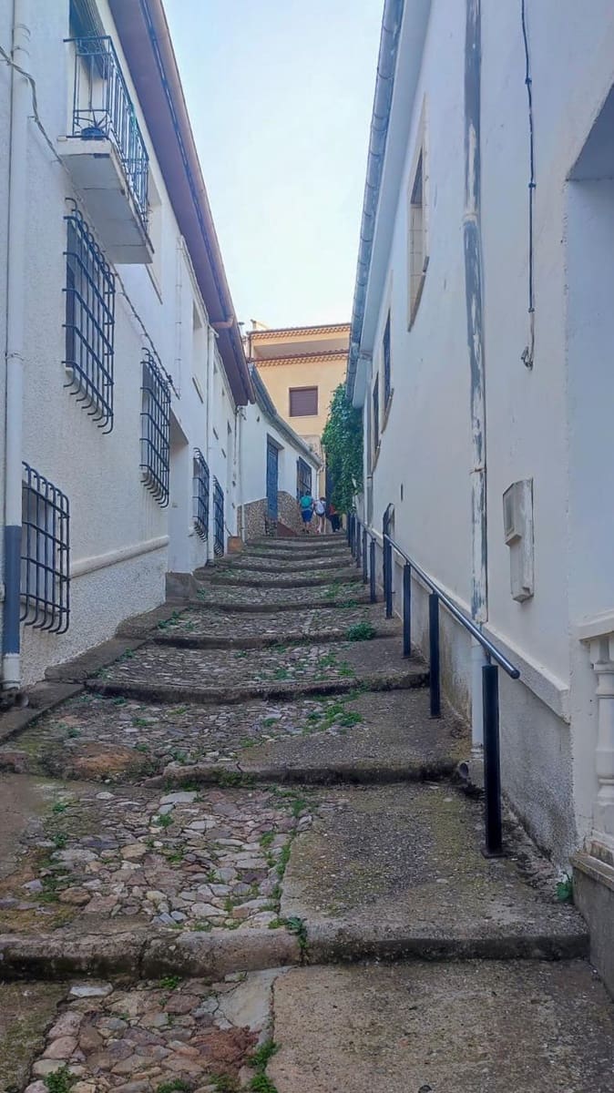 5 bedroom Townhouse for sale in Alcaraz - € 21,000 (Ref: 9867336)