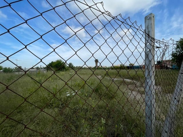Ubebygd land til leie i La Punta, Valencia by - € 700 (Ref: 9867360)