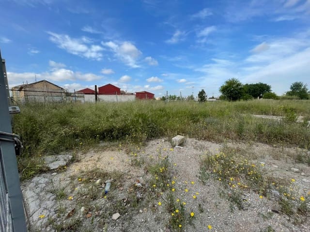 Ubebygd land til leie i La Punta, Valencia by - € 700 (Ref: 9867360)