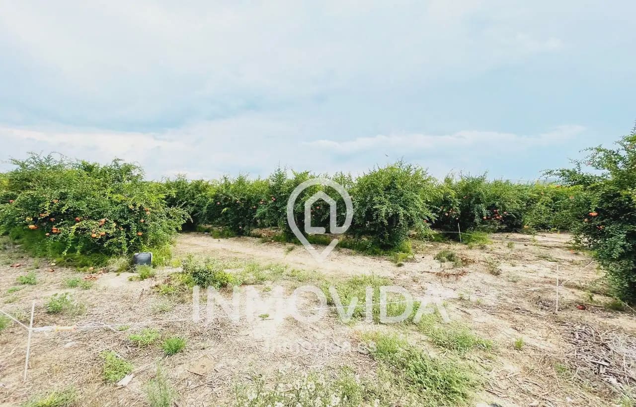 3 sovrum Finca/Hus på landet till salu i Xativa med garage - 170 000 € (Ref: 9879286)