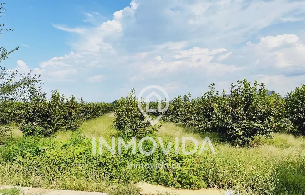 3 sovrum Finca/Hus på landet till salu i Xativa med garage - 170 000 € (Ref: 9879286)
