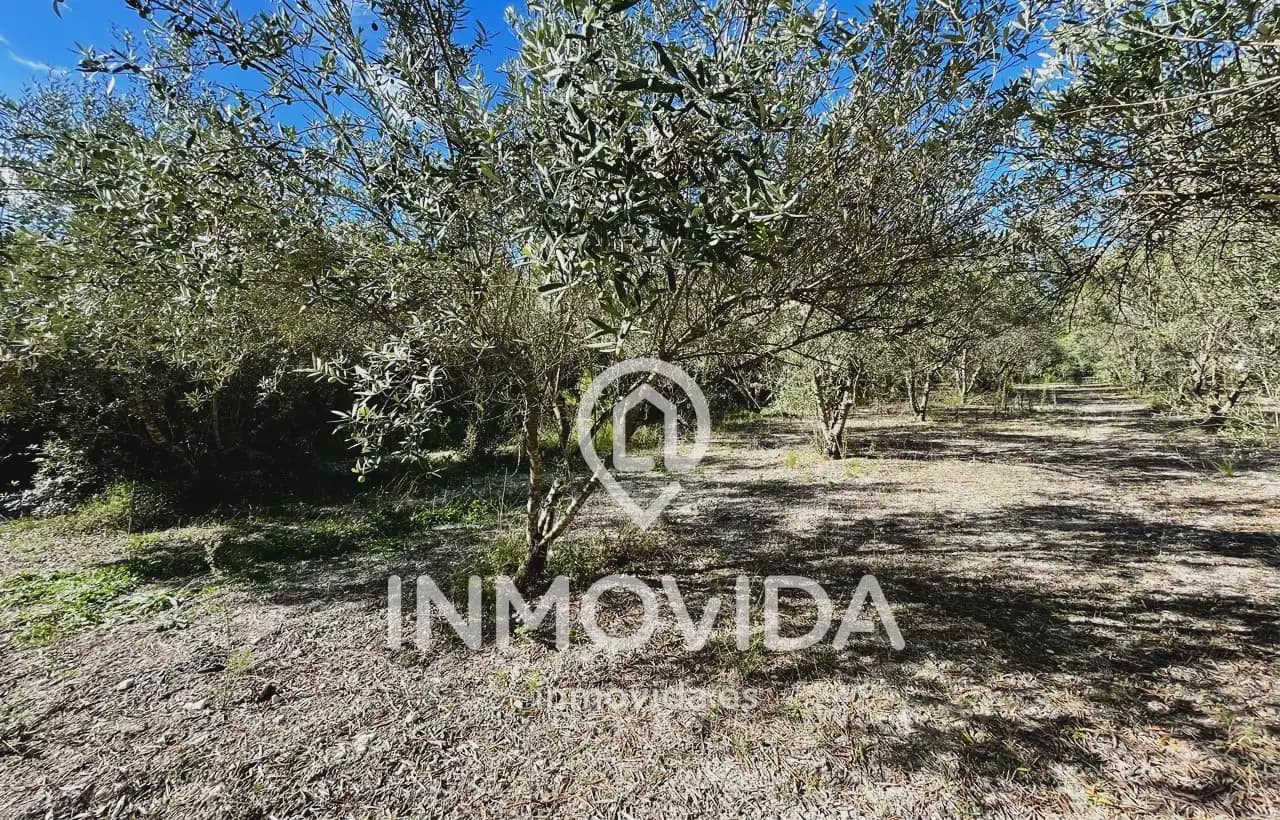3 chambre Finca/Maison de Campagne à vendre à Xativa avec piscine garage - 239 000 € (Ref: 9879312)