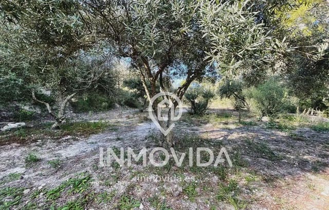 3 soveværelse Finca/Landehus til salg i Xàtiva med swimmingpool garage - € 239.000 (Ref: 9879312)