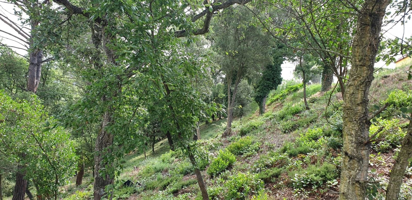 Solar/Parcela en Tordera en venta - 15.000 € (Ref: 9552789)