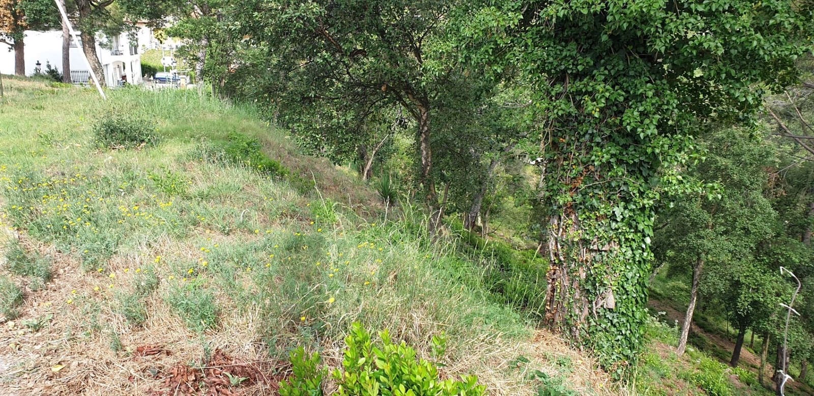 Solar/Parcela en Tordera en venta - 15.000 € (Ref: 9552789)