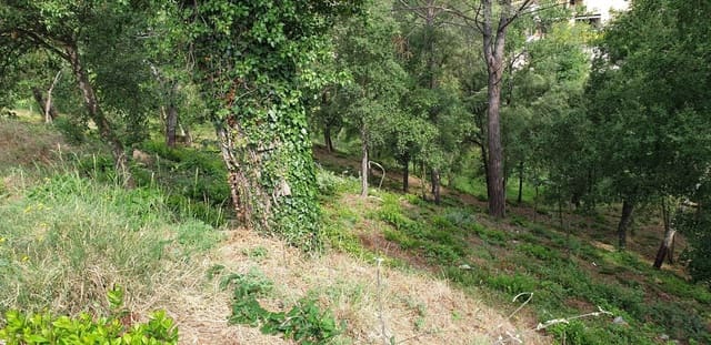 Solar/Parcela en Tordera en venta - 15.000 € (Ref: 9552789)