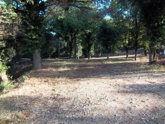 Solar/Parcela en Tordera en venta - 40.000 € (Ref: 9552793)