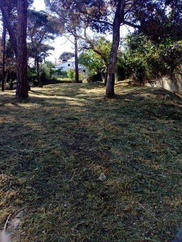 Byggegrund til salg i Maçanet de la Selva - € 30.000 (Ref: 9552796)