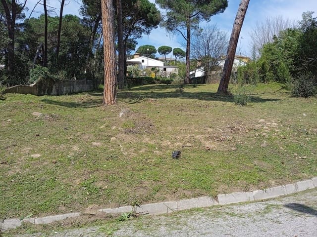 Byggegrund til salg i Maçanet de la Selva - € 30.000 (Ref: 9552796)