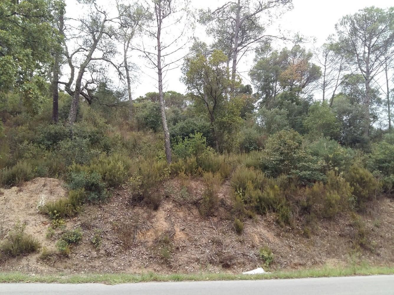 Solar/Parcela en Tordera en venta - 16.000 € (Ref: 9552798)