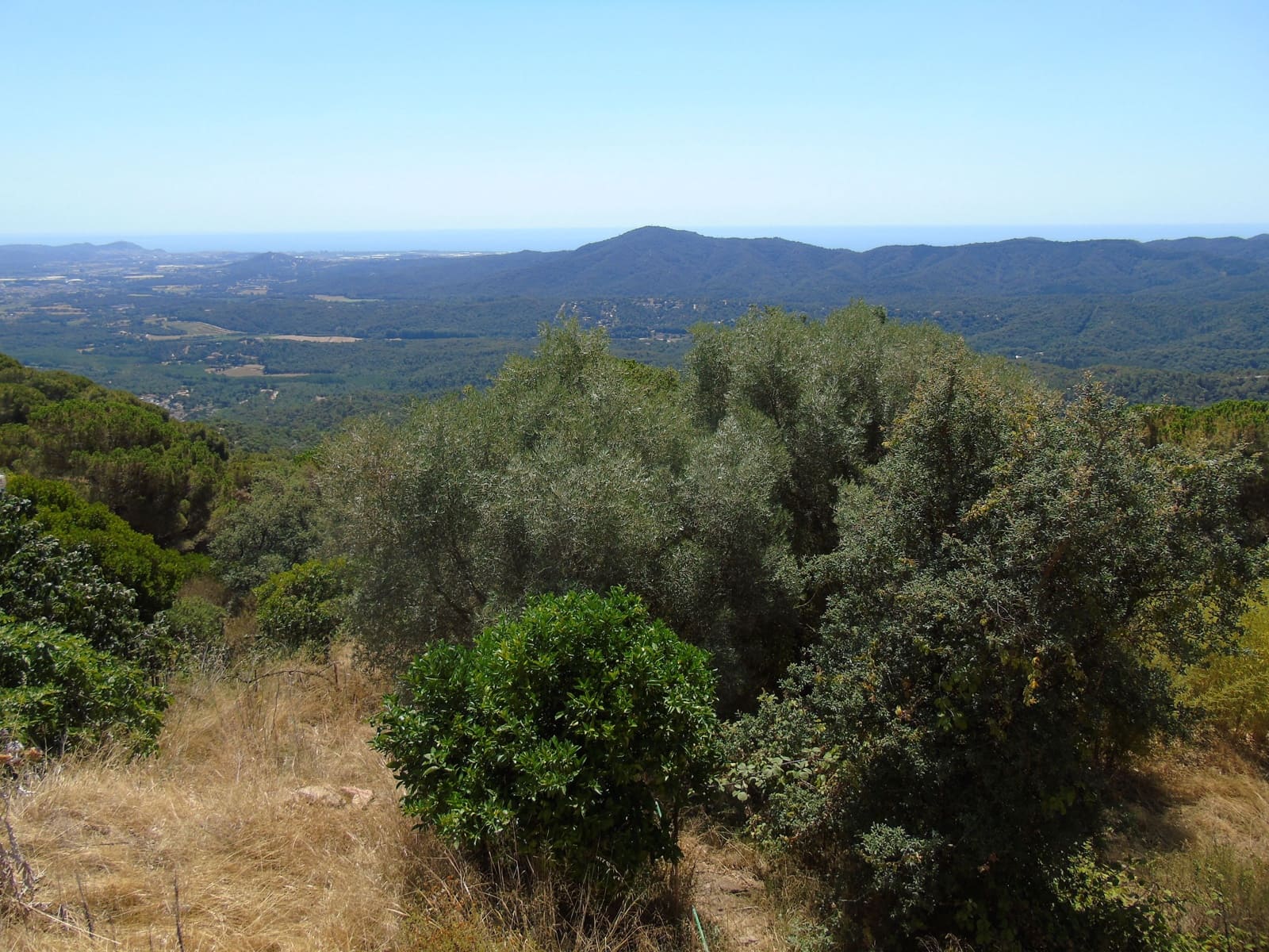 8 soveværelse Finca/Landehus til salg i Tordera med garage - € 250.000 (Ref: 9552800)