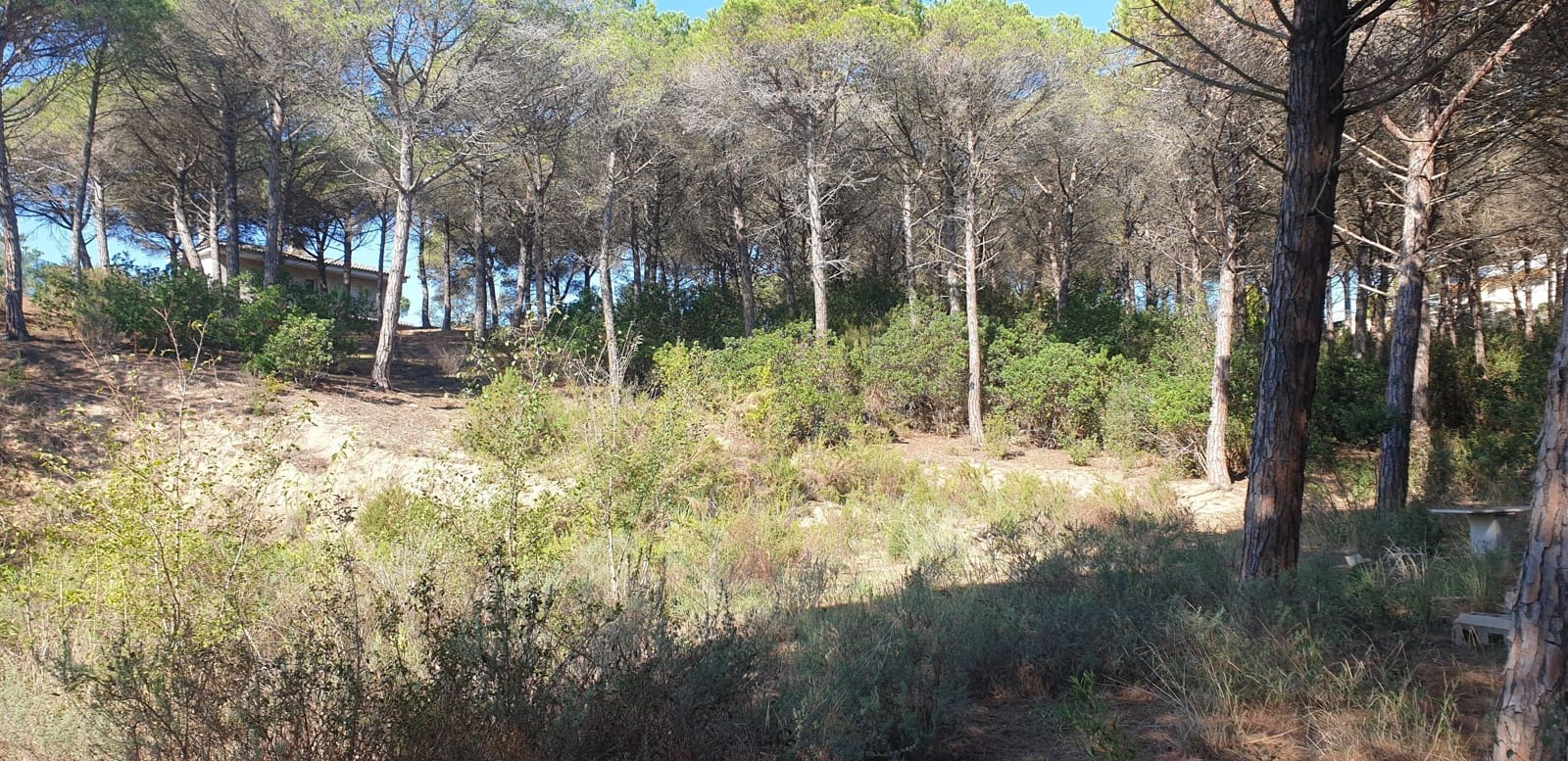 Mark till salu i Tordera - 80 000 € (Ref: 9552801)