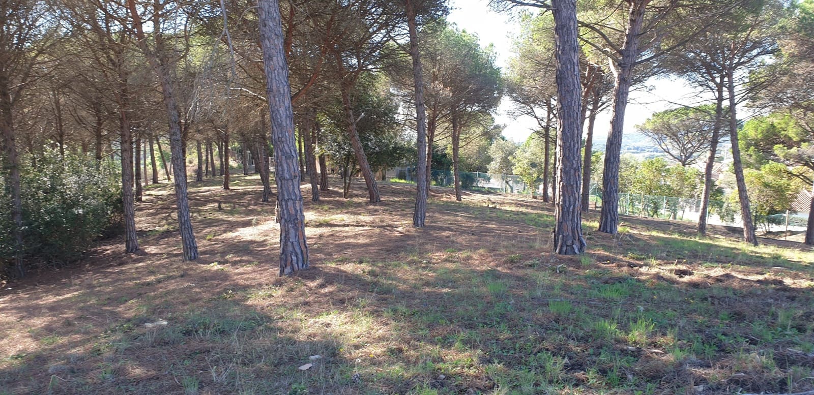 Mark till salu i Tordera - 80 000 € (Ref: 9552801)