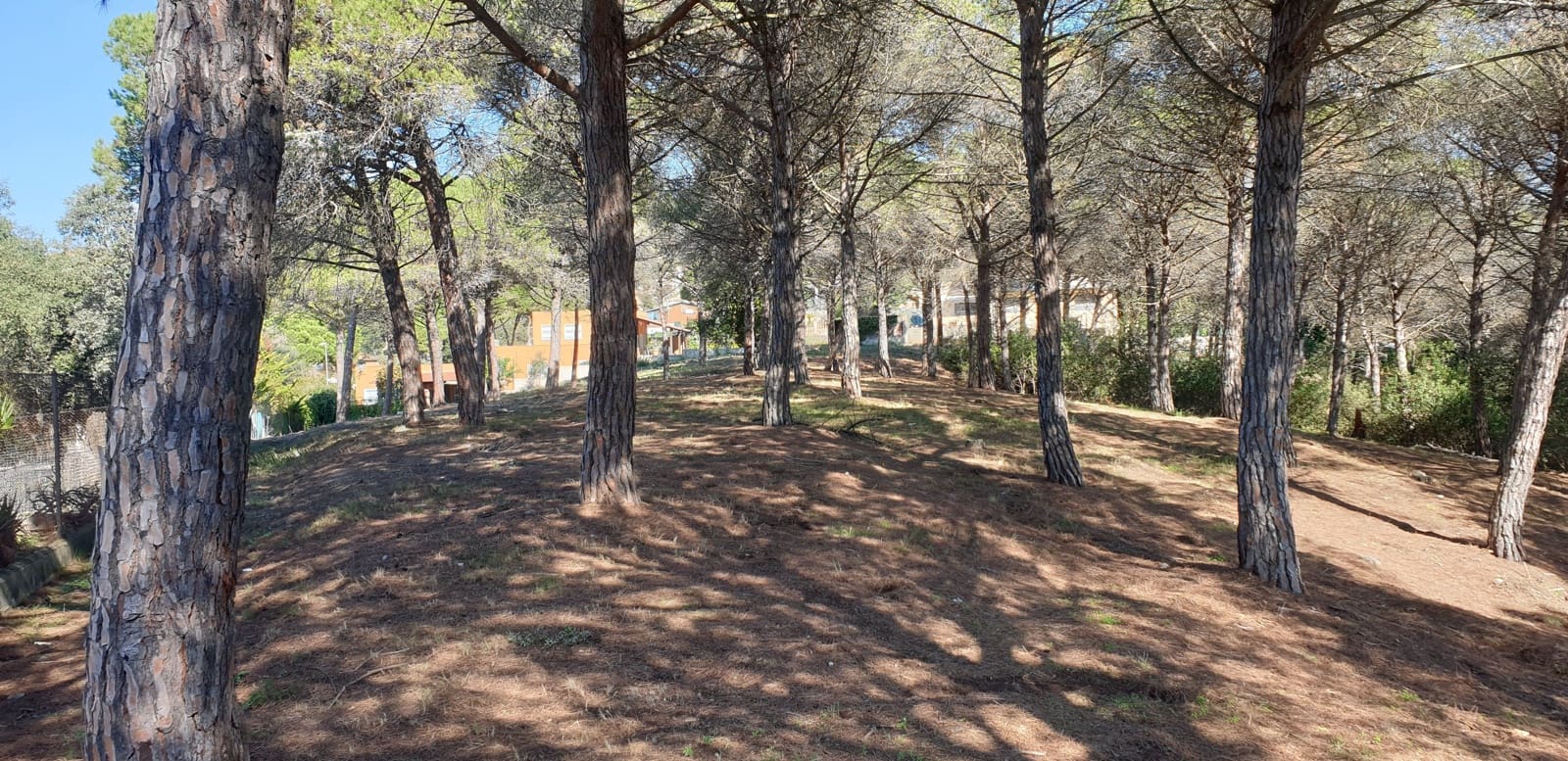 Mark till salu i Tordera - 80 000 € (Ref: 9552801)