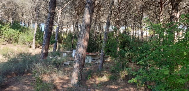 Mark till salu i Tordera - 80 000 € (Ref: 9552801)