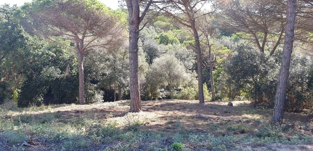 Mark till salu i Tordera - 80 000 € (Ref: 9552801)