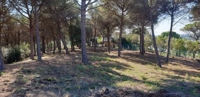 Mark till salu i Tordera - 80 000 € (Ref: 9552801)