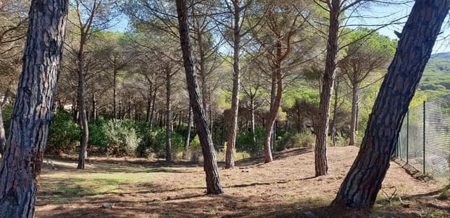 Mark till salu i Tordera - 80 000 € (Ref: 9552801)