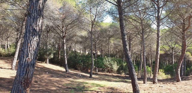 Mark till salu i Tordera - 80 000 € (Ref: 9552801)