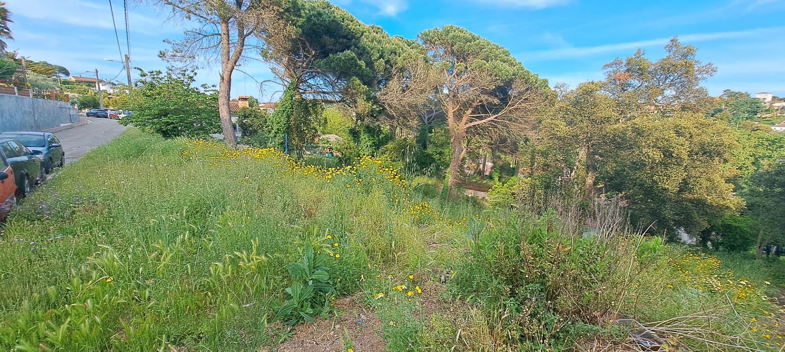 Byggegrund til salg i Macanet de la Selva - € 20.000 (Ref: 9552820)