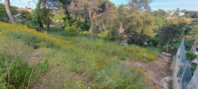 Byggegrund til salg i Maçanet de la Selva - € 20.000 (Ref: 9552820)