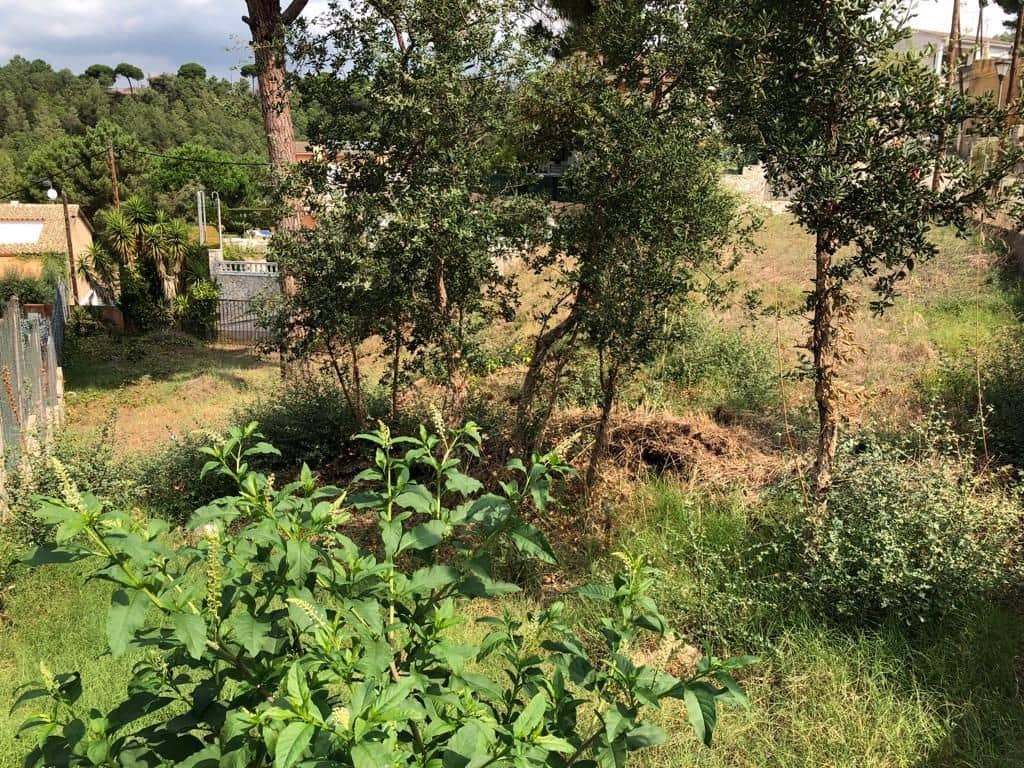 Solar/Parcela en Tordera en venta - 39.500 € (Ref: 9552826)