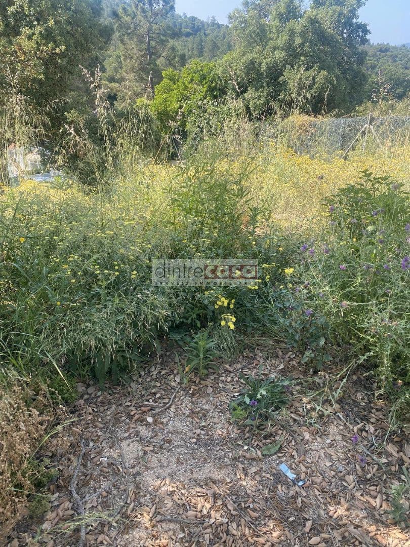 Chalet de 3 habitaciones en Tordera en venta - 230.000 € (Ref: 9552837)