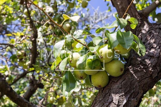 Chalet de 5 habitaciones en Sant Celoni en venta con piscina garaje - 595.000 € (Ref: 9602743)