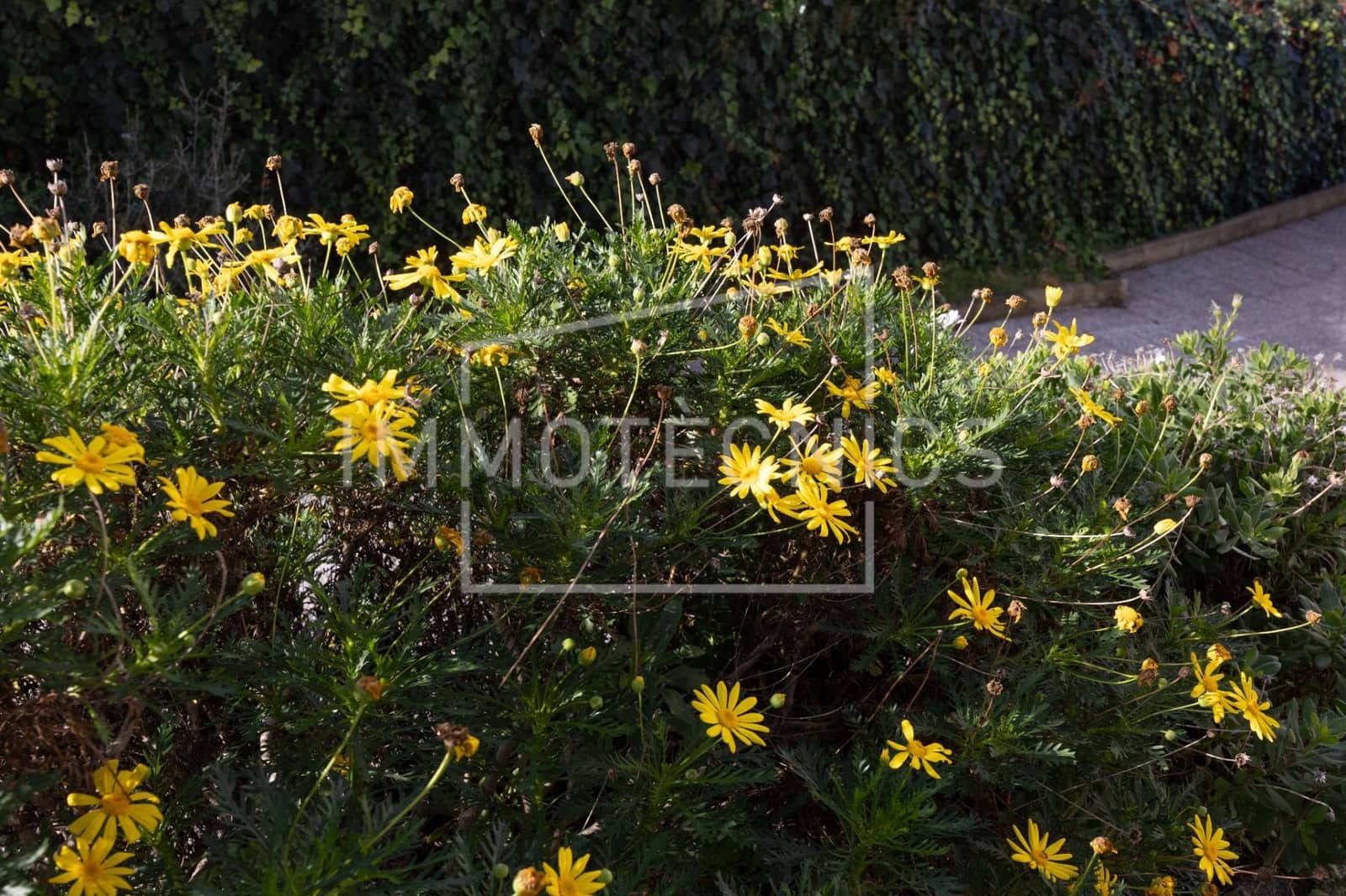 3 soverom Villa til salgs i Tordera med garasje - € 299 000 (Ref: 9602760)