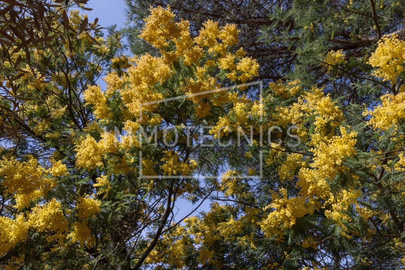 6 bedroom Finca/Country House for sale in Sant Iscle de Vallalta with pool garage - € 1,350,000 (Ref: 9656235)