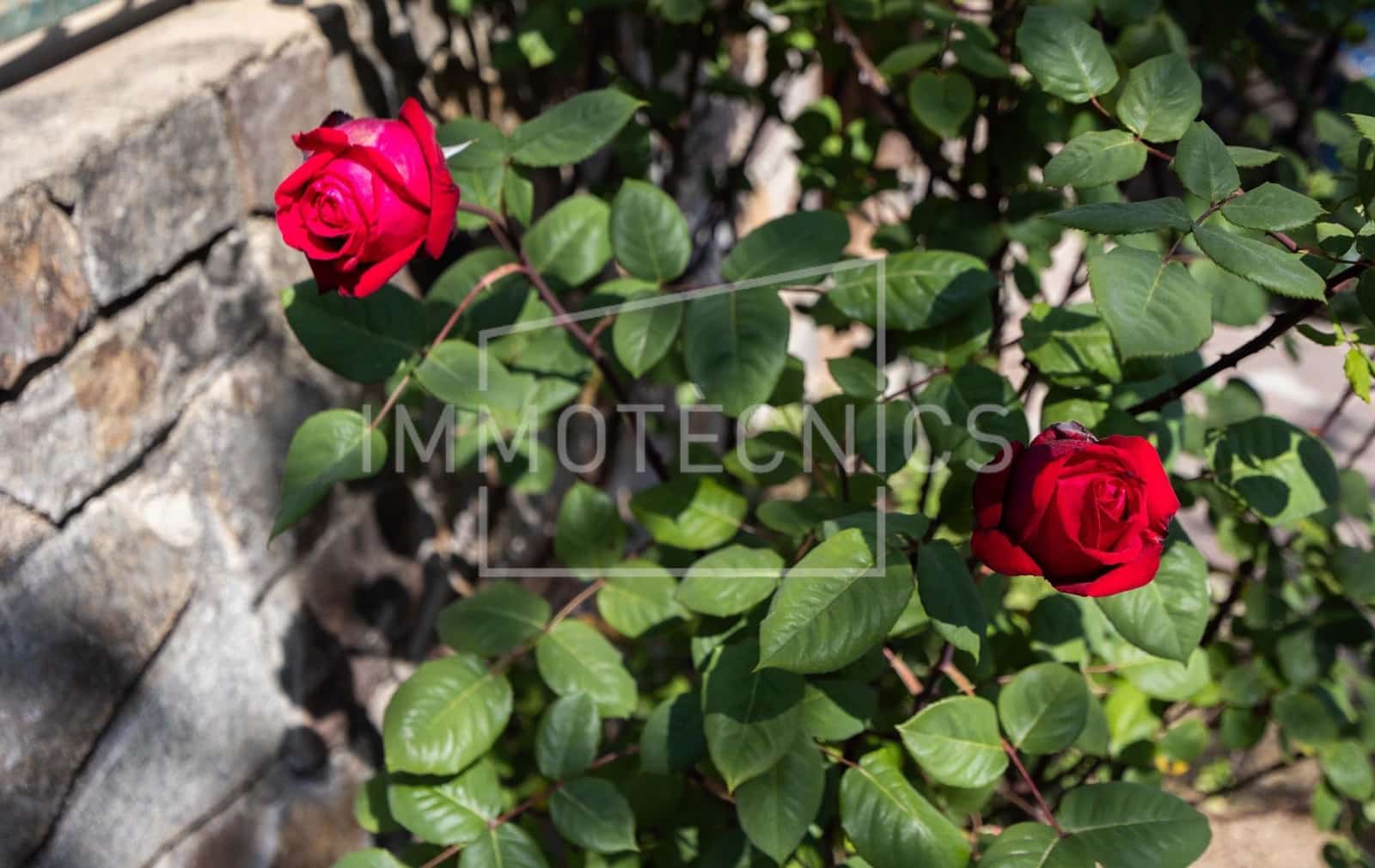 5 sovrum Villa till salu i Llinars del Valles med garage - 420 000 € (Ref: 9808120)