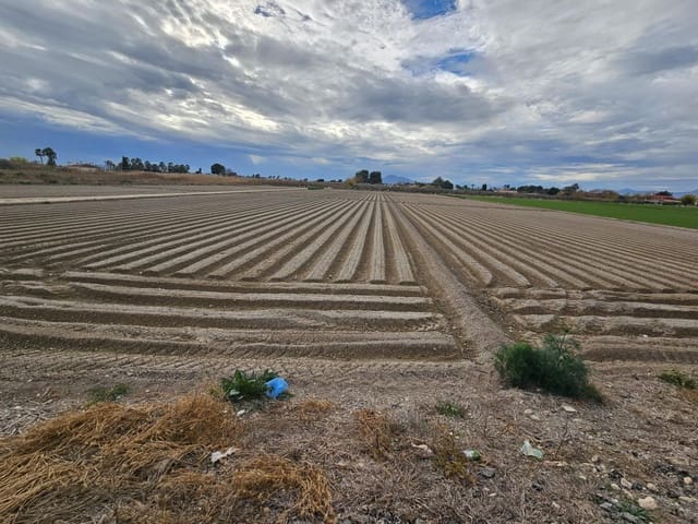 Terreno/Finca Rústica en Dolores en venta - 87.000 € (Ref: 9437868)