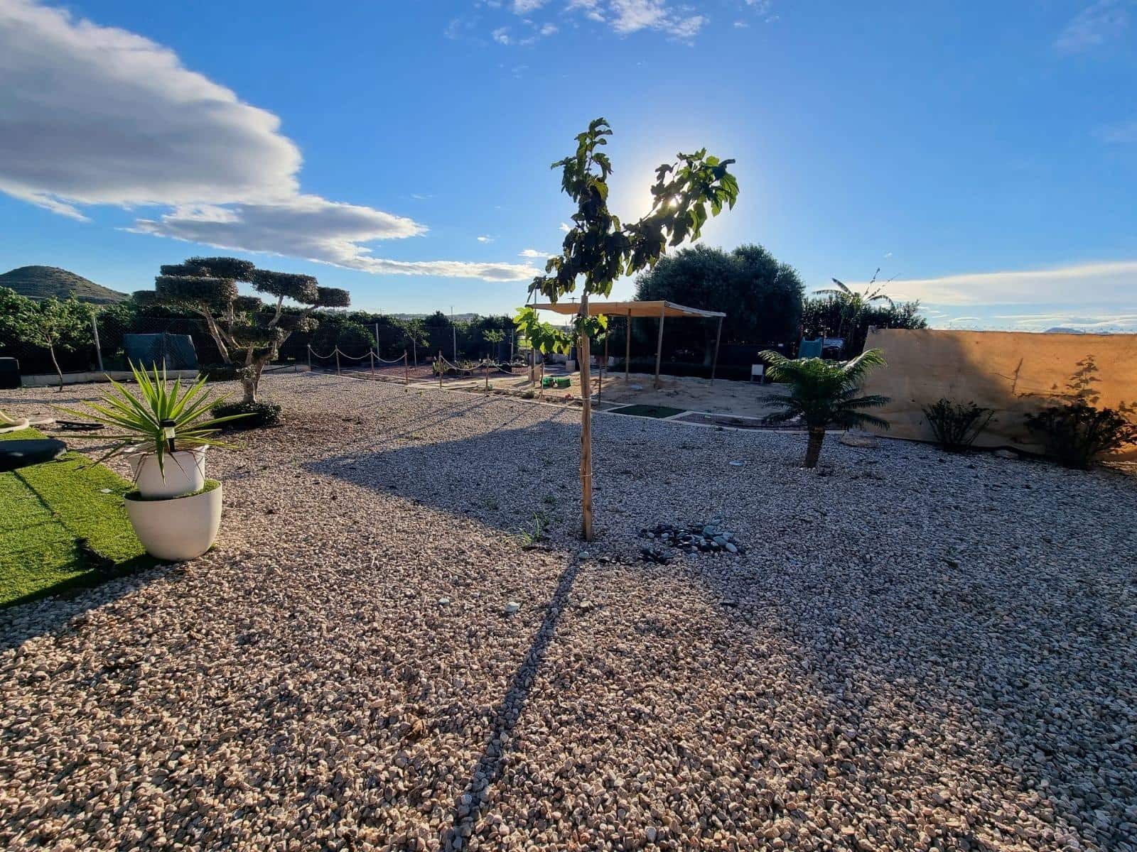 Undeveloped Land for sale in Rojales - € 79,000 (Ref: 9437874)