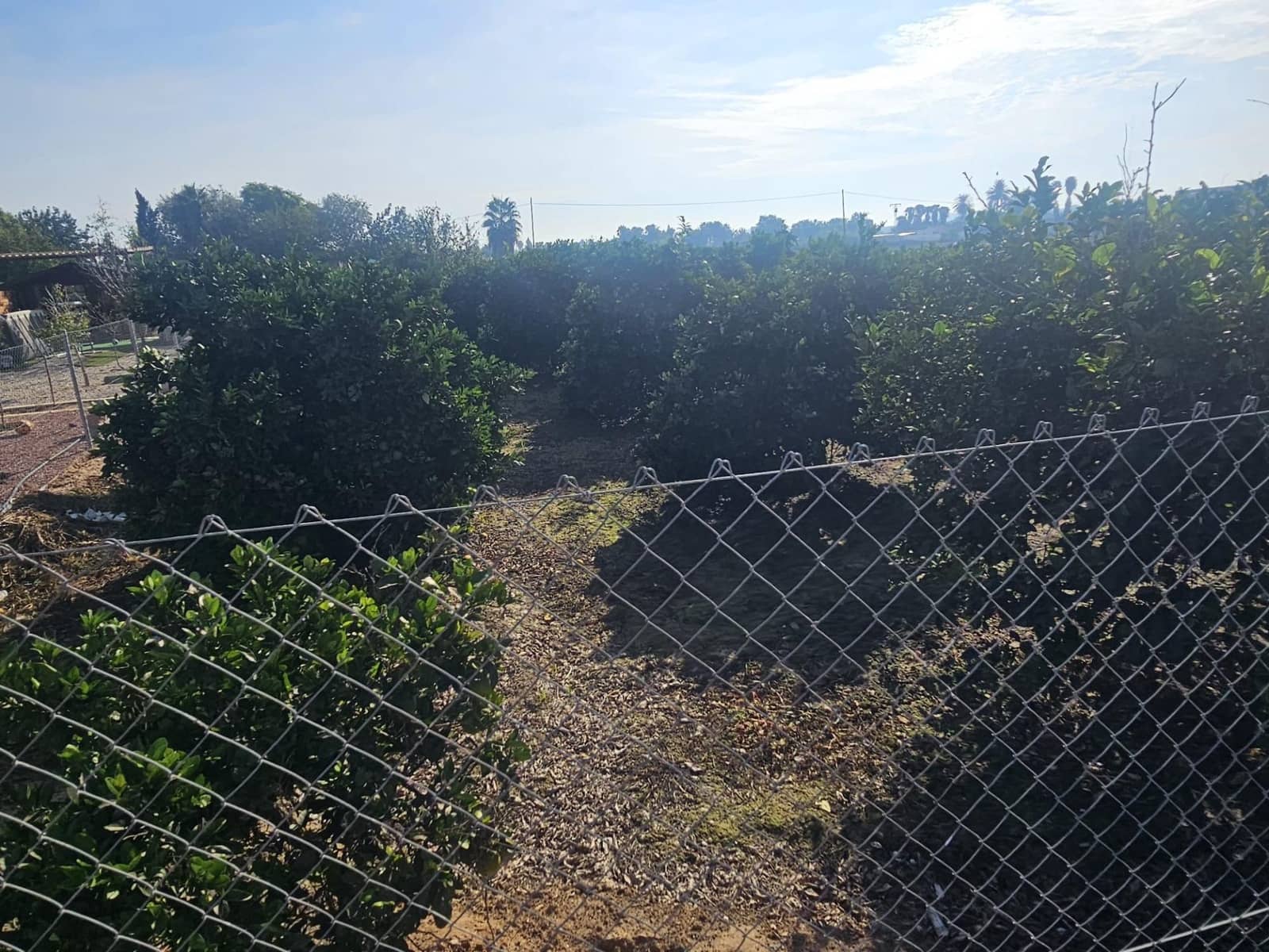 Undeveloped Land for sale in Rojales - € 79,000 (Ref: 9437874)